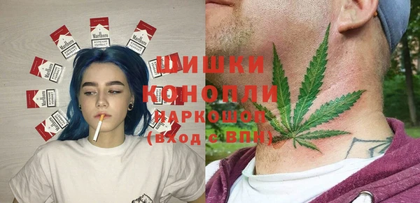 прущие крисы Абаза